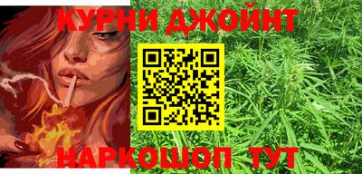 сатива Обнинск